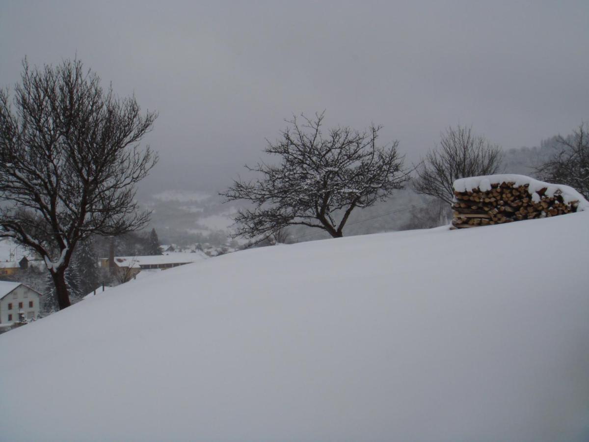 Gite De Famille Dans Les Vosges Saint-Maurice-sur-Moselle Exterior photo