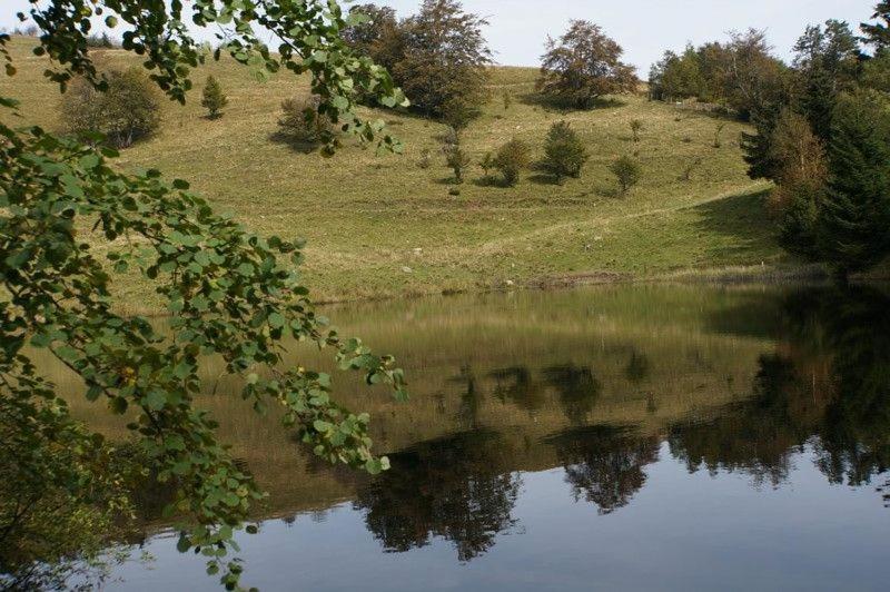 Gite De Famille Dans Les Vosges Saint-Maurice-sur-Moselle Exterior photo
